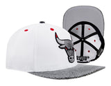 Pro Standard CHICAGO BULLS SNAPBACK HAT