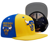 Pro Standard CHICAGO BULLS SNAPBACK HAT