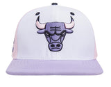 Pro Standard CHICAGO BULLS SNAPBACK HAT