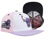 Pro Standard CHICAGO BULLS SNAPBACK HAT