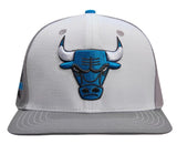 Pro Standard CHICAGO BULLS SNAPBACK HAT