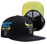 Pro Standard CHICAGO BULLS SNAPBACK HAT