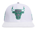 Pro Standard CHICAGO BULLS SNAPBACK HAT