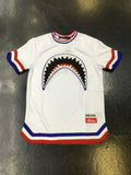 Hudson Sharkmouth Stripe SS Shirt