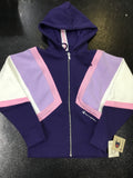 Champion Reverse Weave Colorblock Zip Hoodie